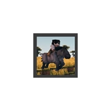 Swem Mod horse logo